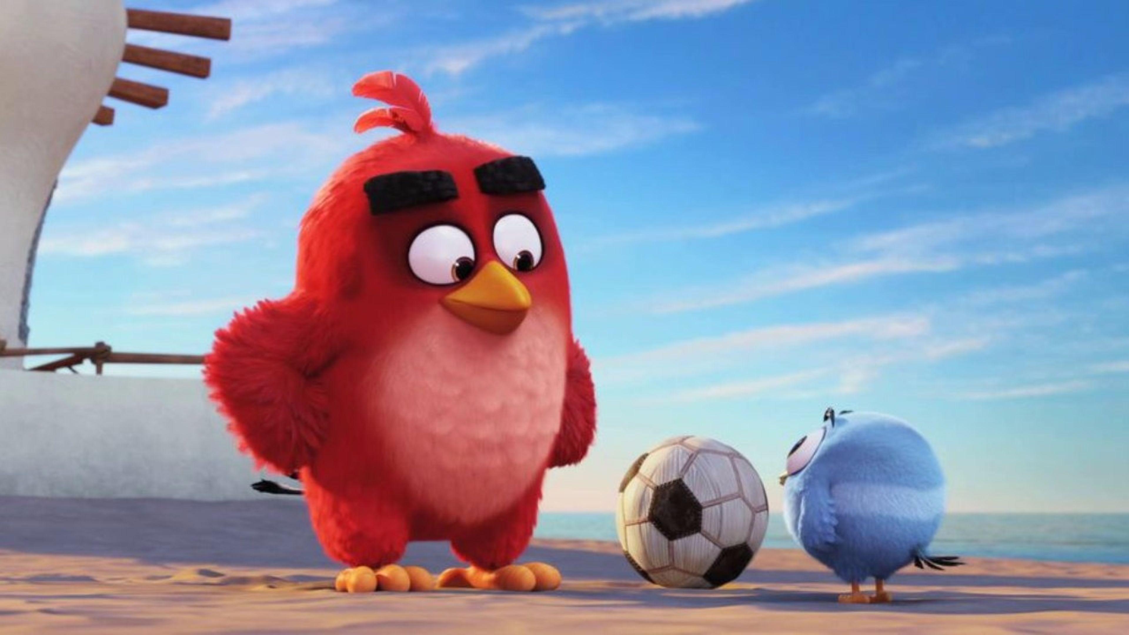 3840x2160 Angry Birds Red Best Wallpaper 26052