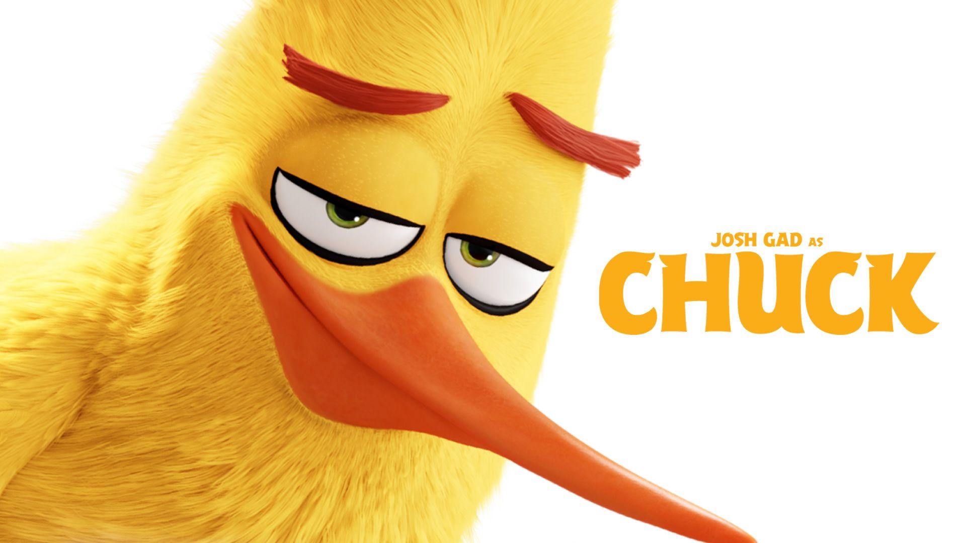 1920x1080 The Angry Birds Movie HD Wallpaperx1080