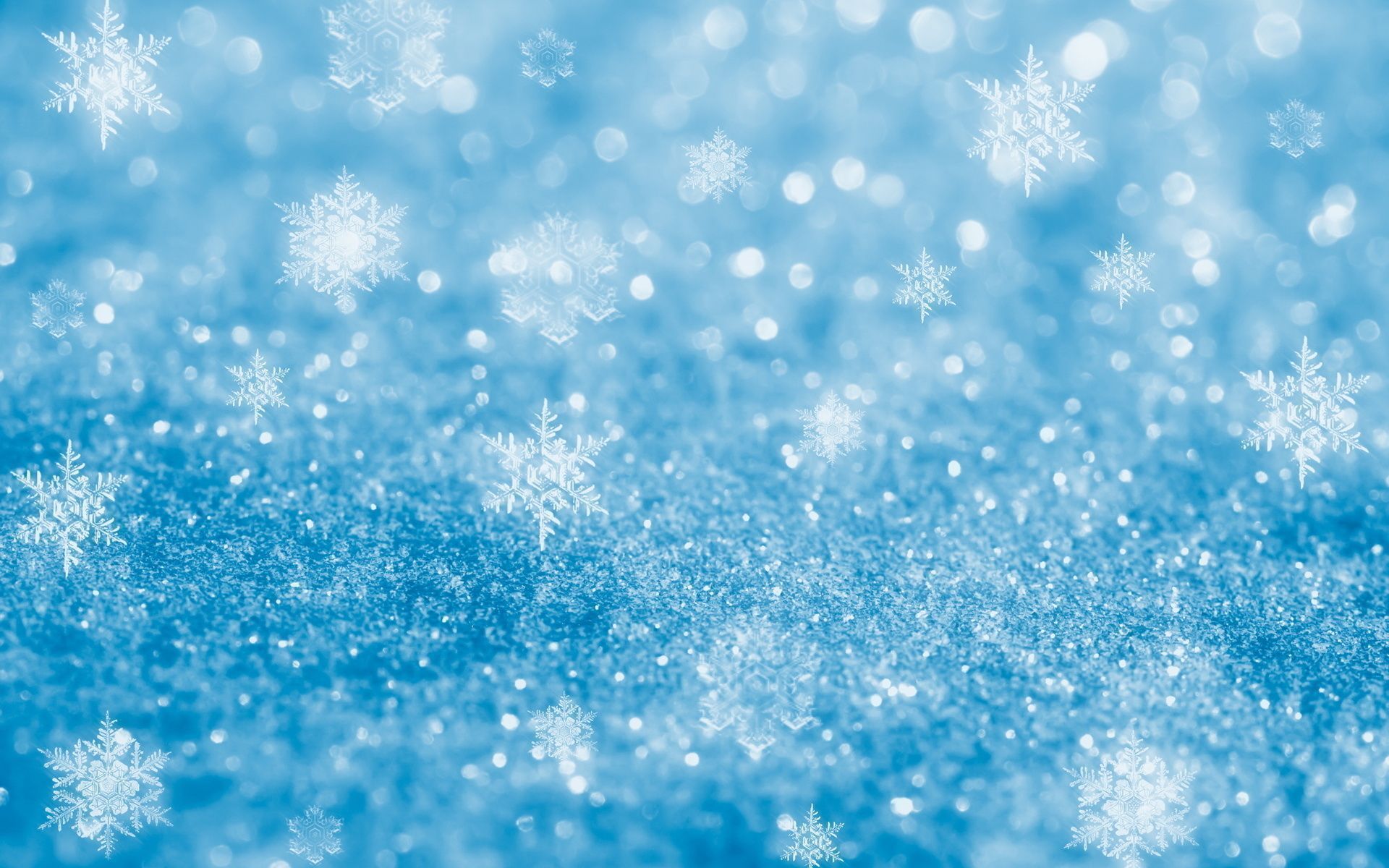 1920x1200 Ice And Snow Wallpaper