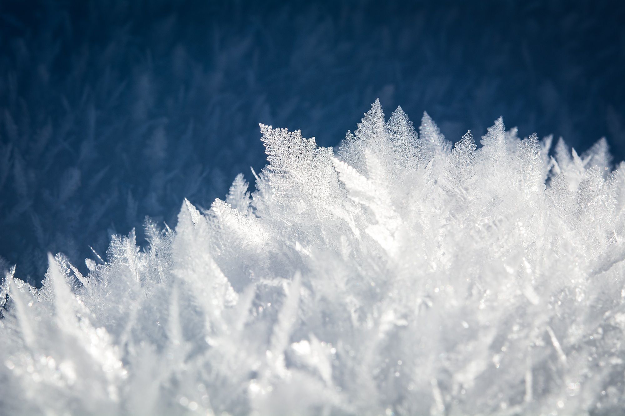 2000x1333 Ice Crystals