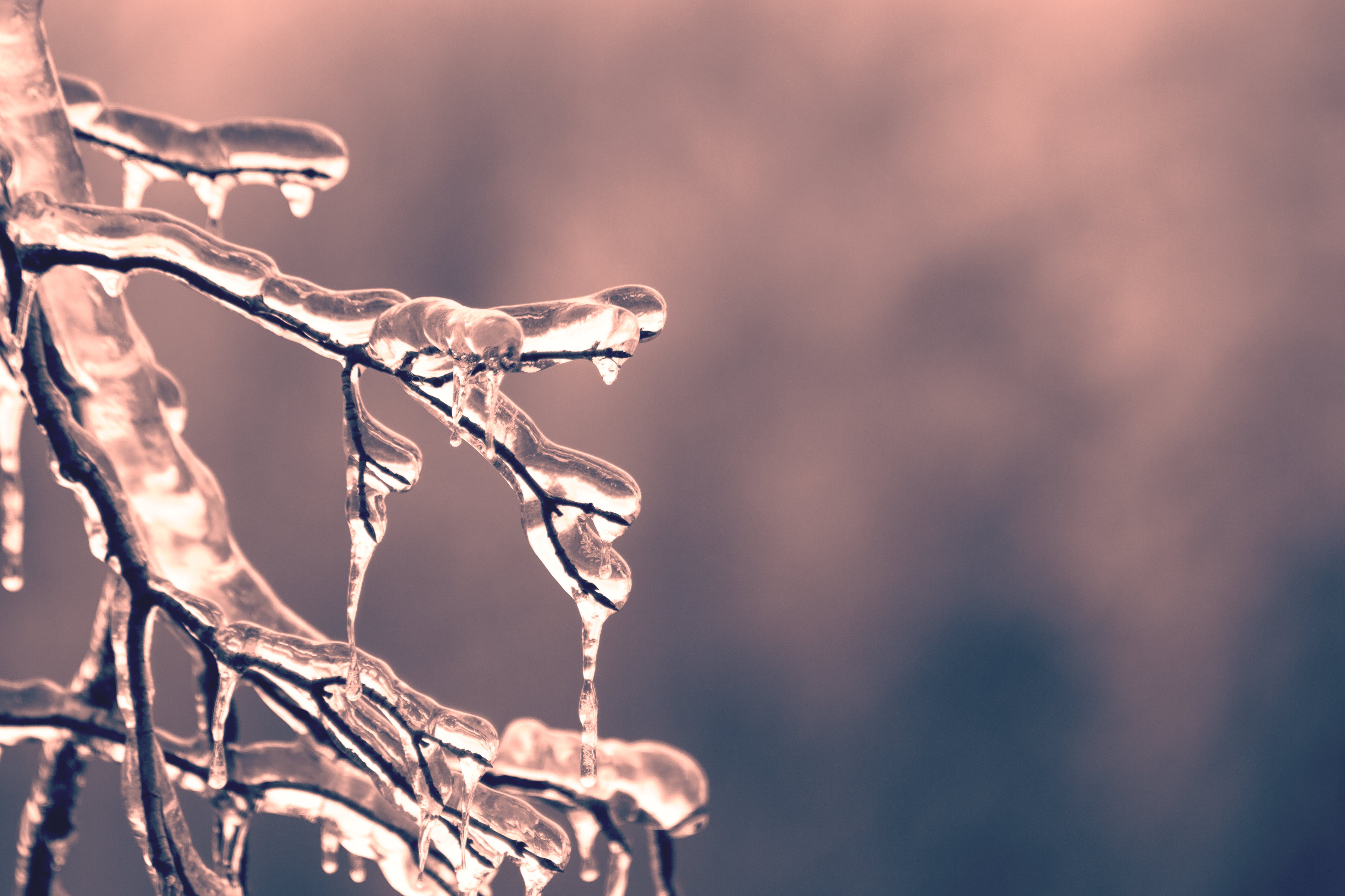 4460x2973 Ice Crystal Photo, Download The BEST Free Ice Crystal & HD Image