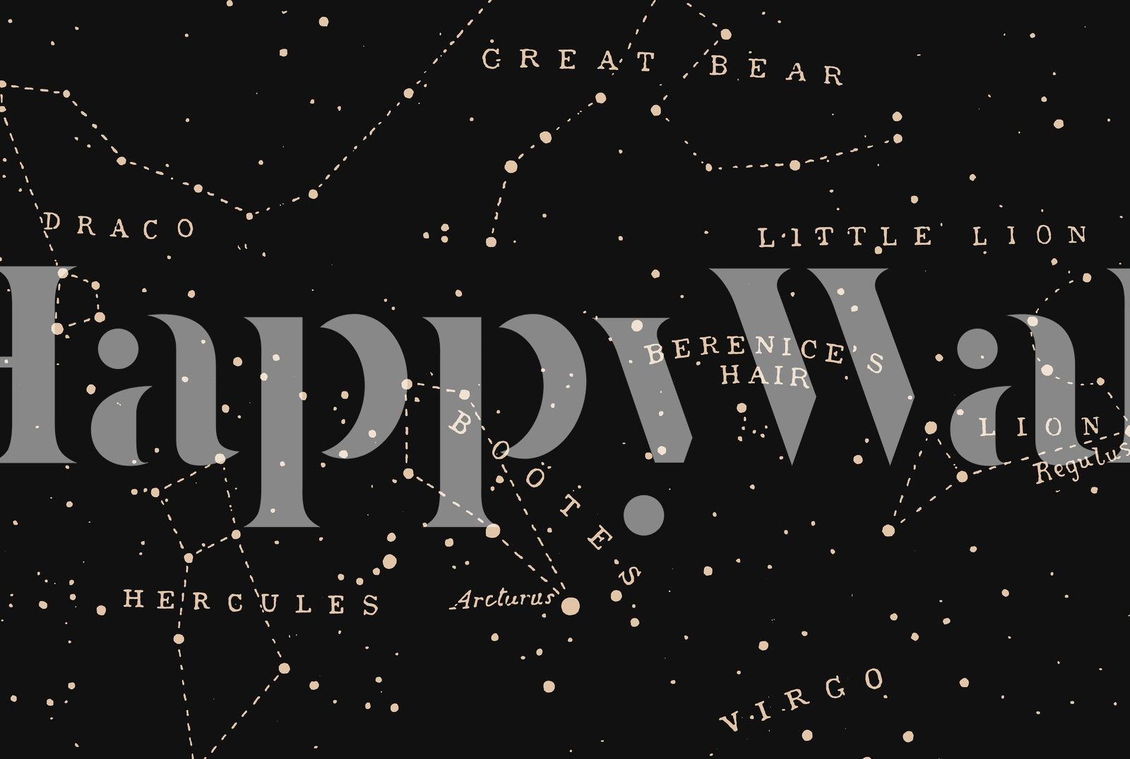 1600x1076 Buy Constellation II Aster Wallpaper Online