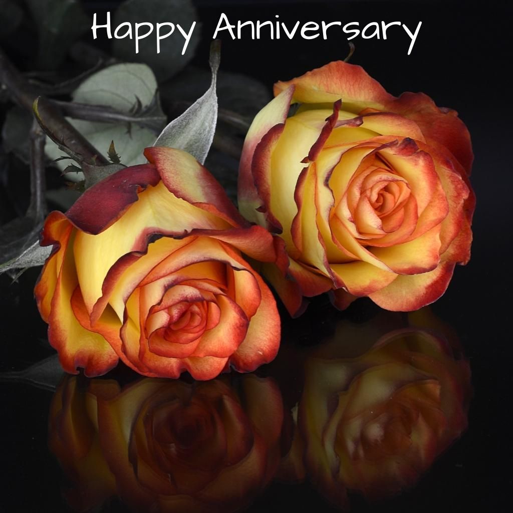 1024x1024 Wedding Anniversary Image