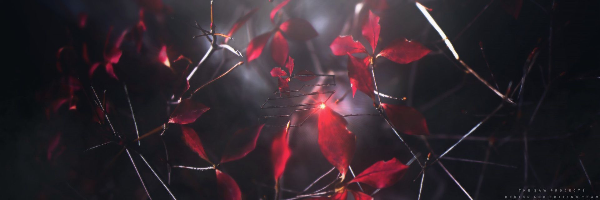 1920x640 Twitter header for Saw Projects