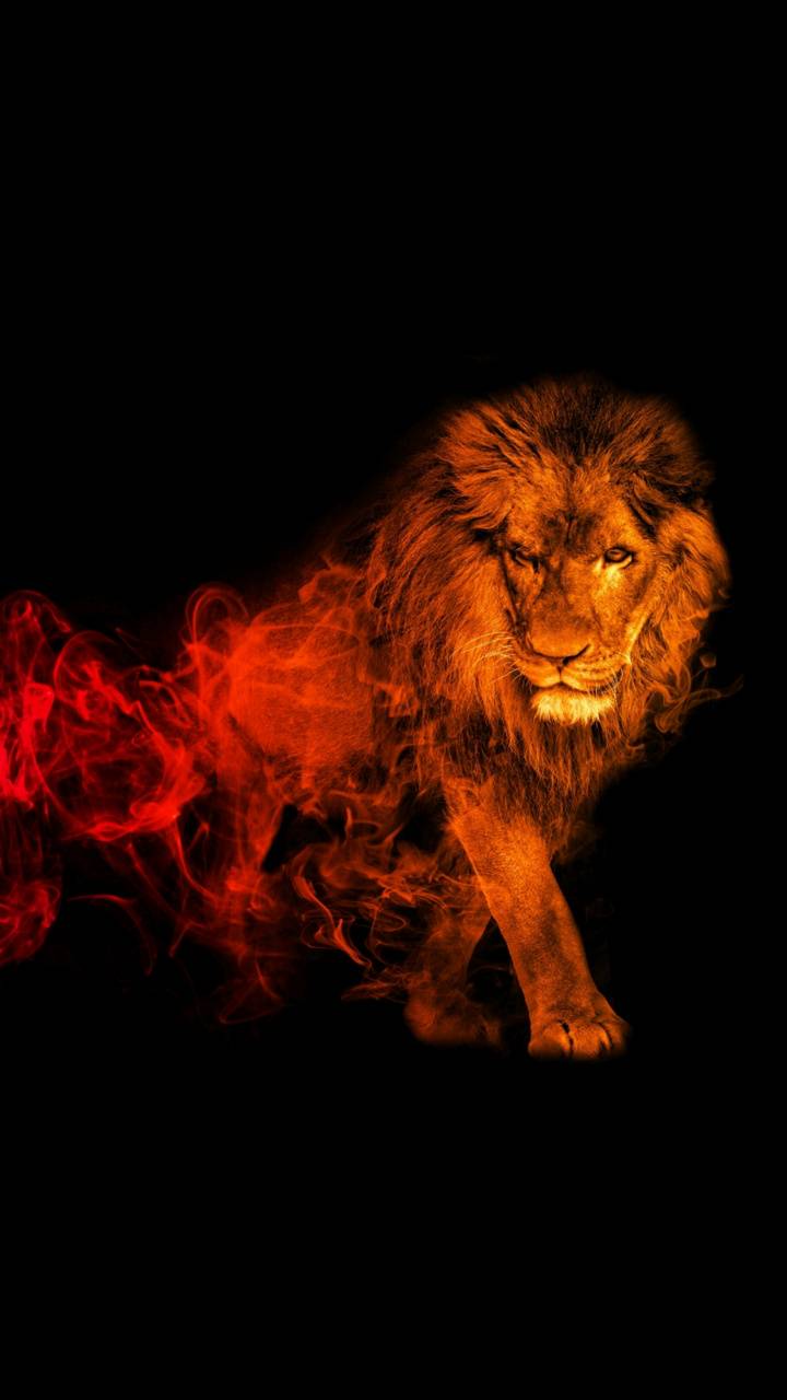 Abstract Lion Wallpapers - Top Free Abstract Lion Backgrounds - WallpaperAccess