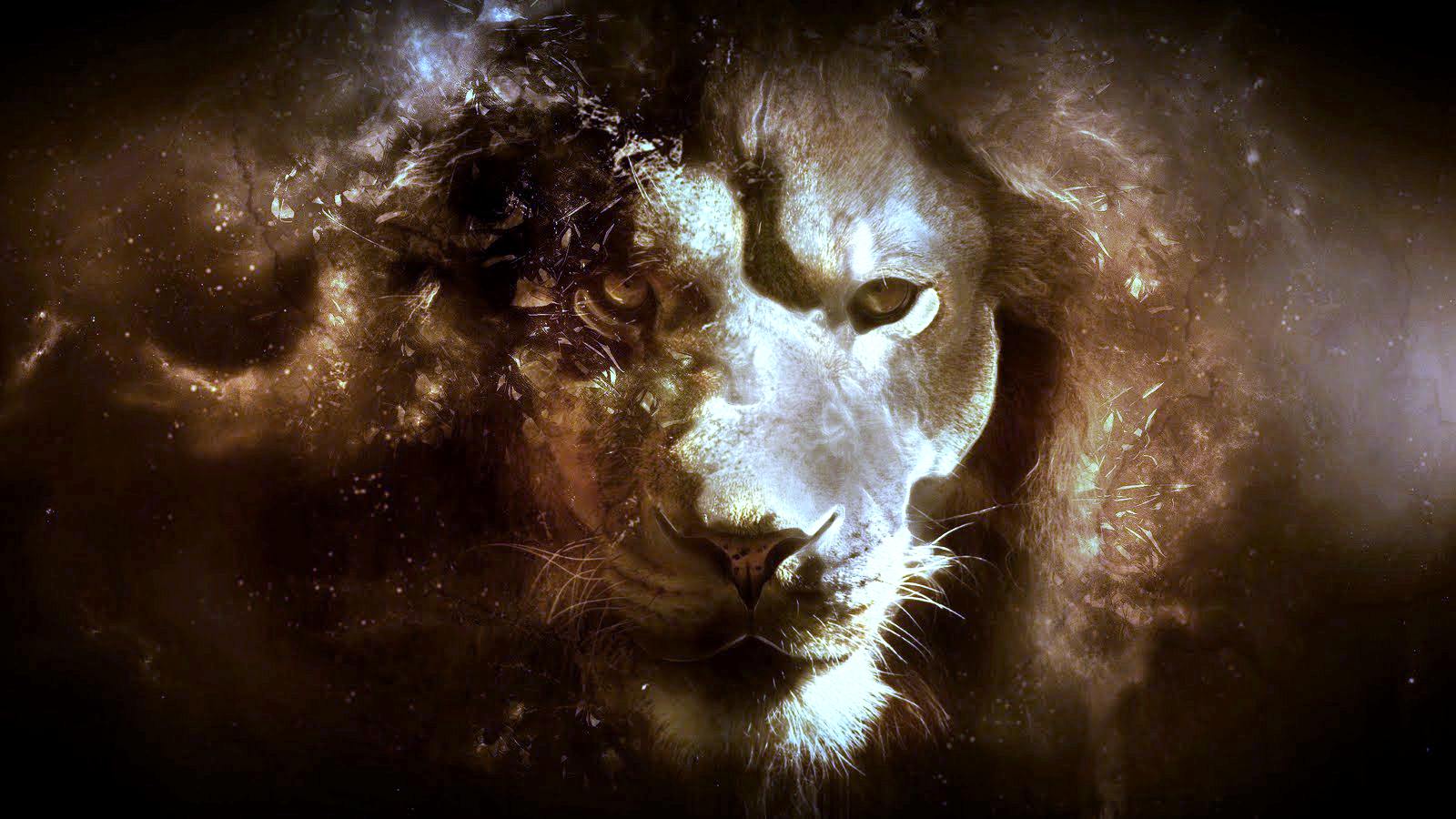 Abstract Lion Wallpapers - Top Free Abstract Lion Backgrounds - WallpaperAccess