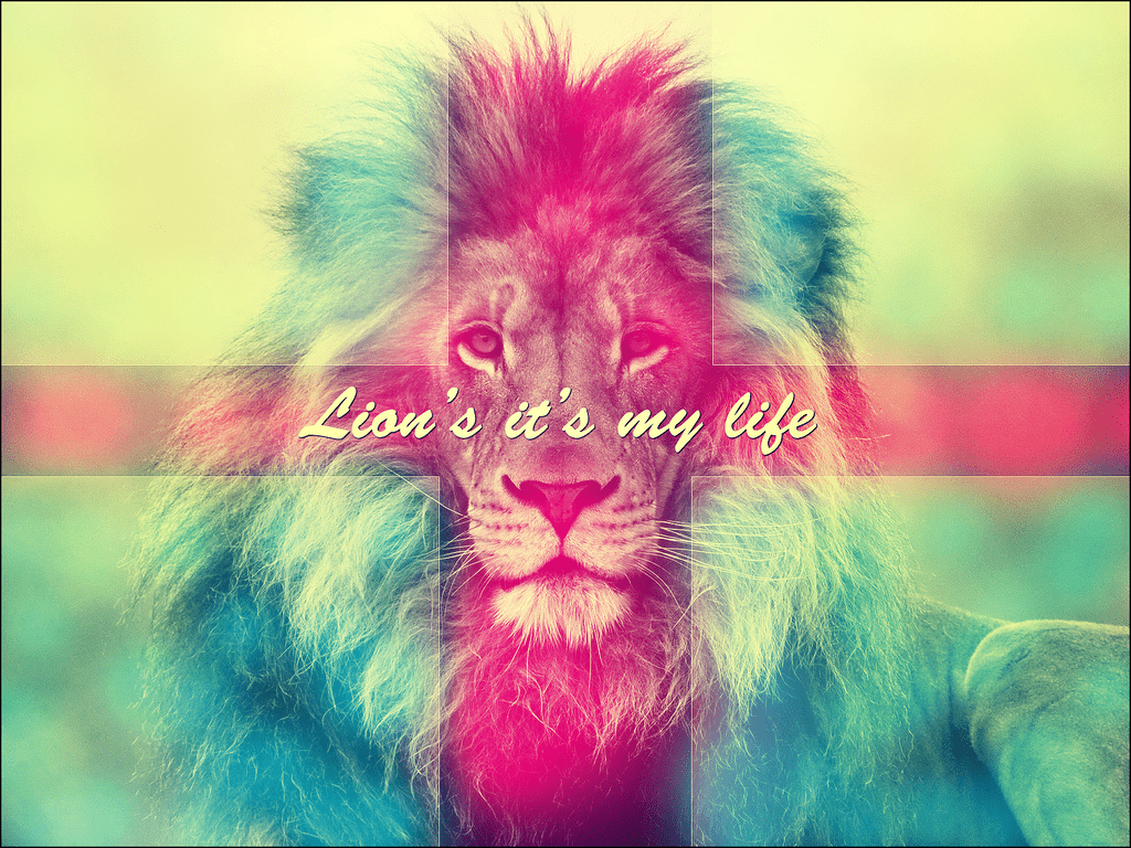 1024x768 Colorful Lion Wallpaper
