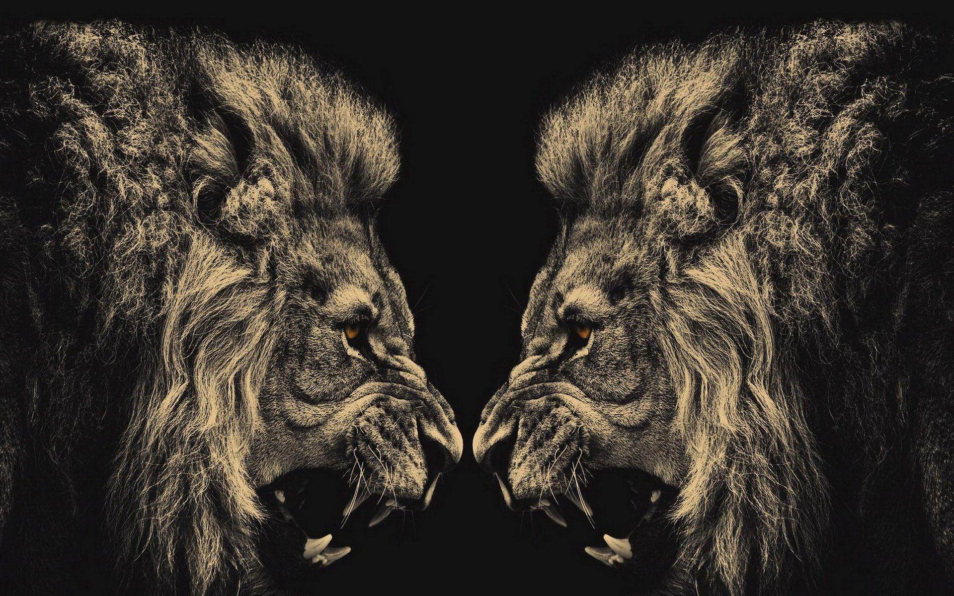 Dark Lion Wallpapers - Top Free Dark Lion Backgrounds - WallpaperAccess