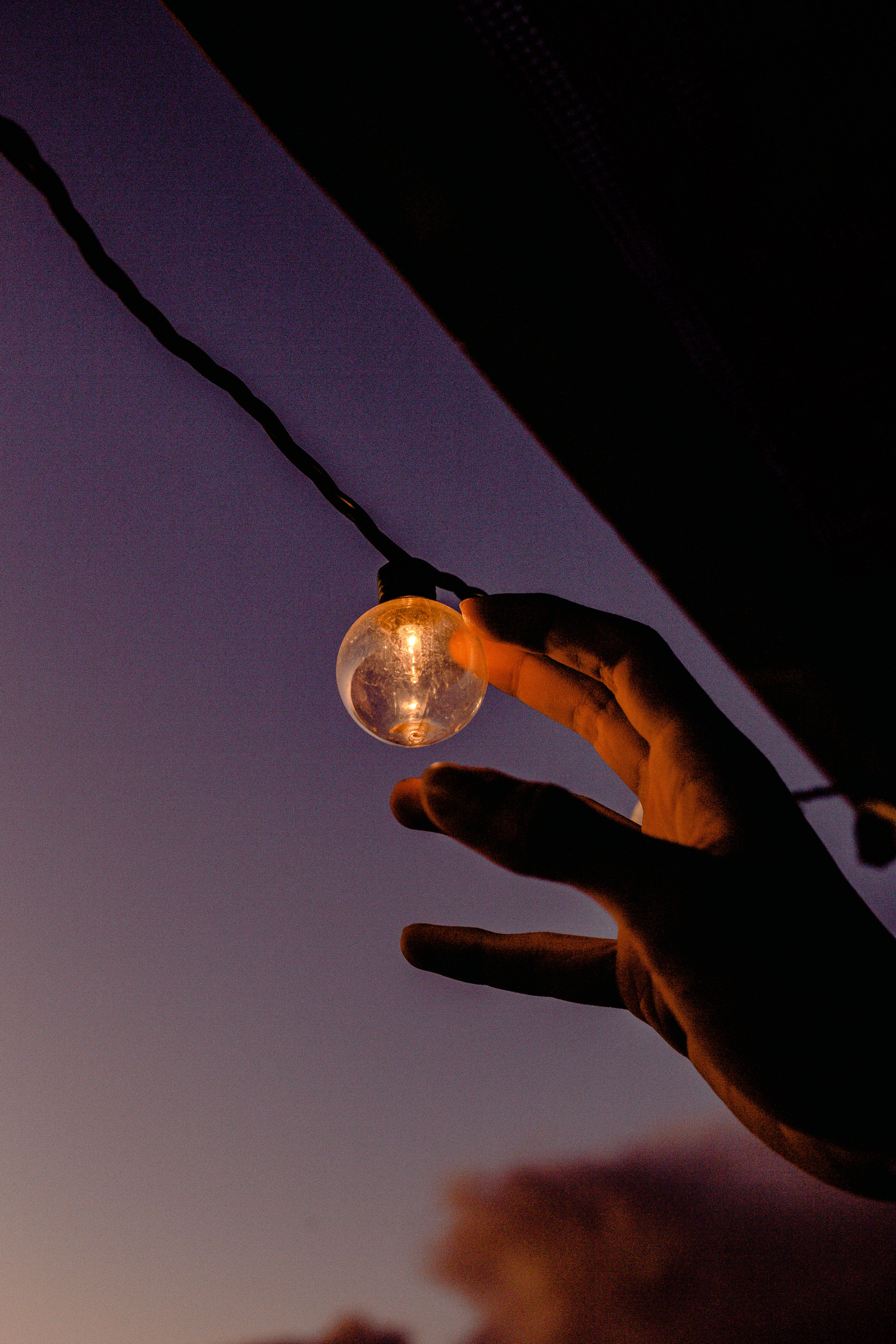 3546x5319 Light Bulb with Black Background · Free