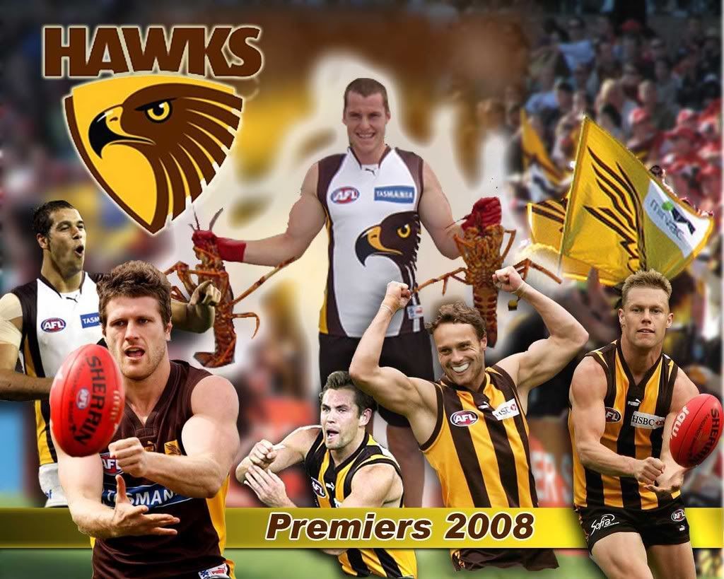 1024x819 Hawks Background