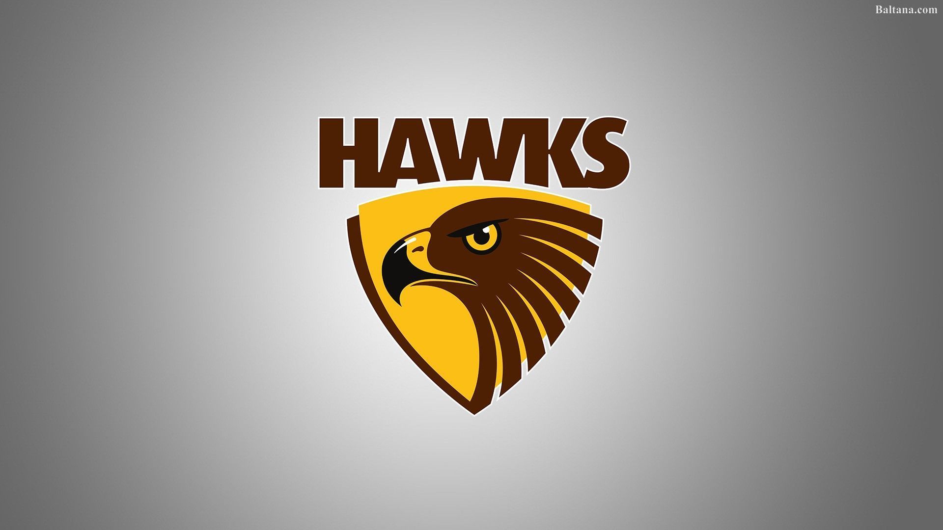 1920x1080 Atlanta Hawks Best Wallpaper 33399