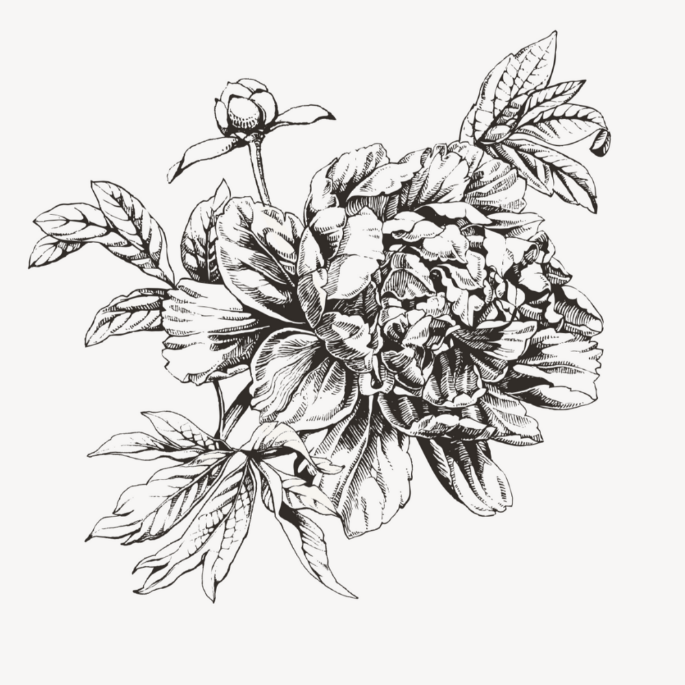 1000x1000 Flower Sketch Circle Vintage Flower