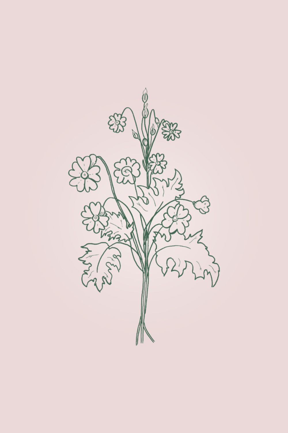 1000x1500 Spring Flower Trio Device Wallpaper Verderame Marketing Agency