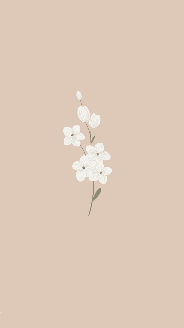 736x1308 Wallpaper. Flower drawing, Flower phone wallpaper, Flower background wallpaper