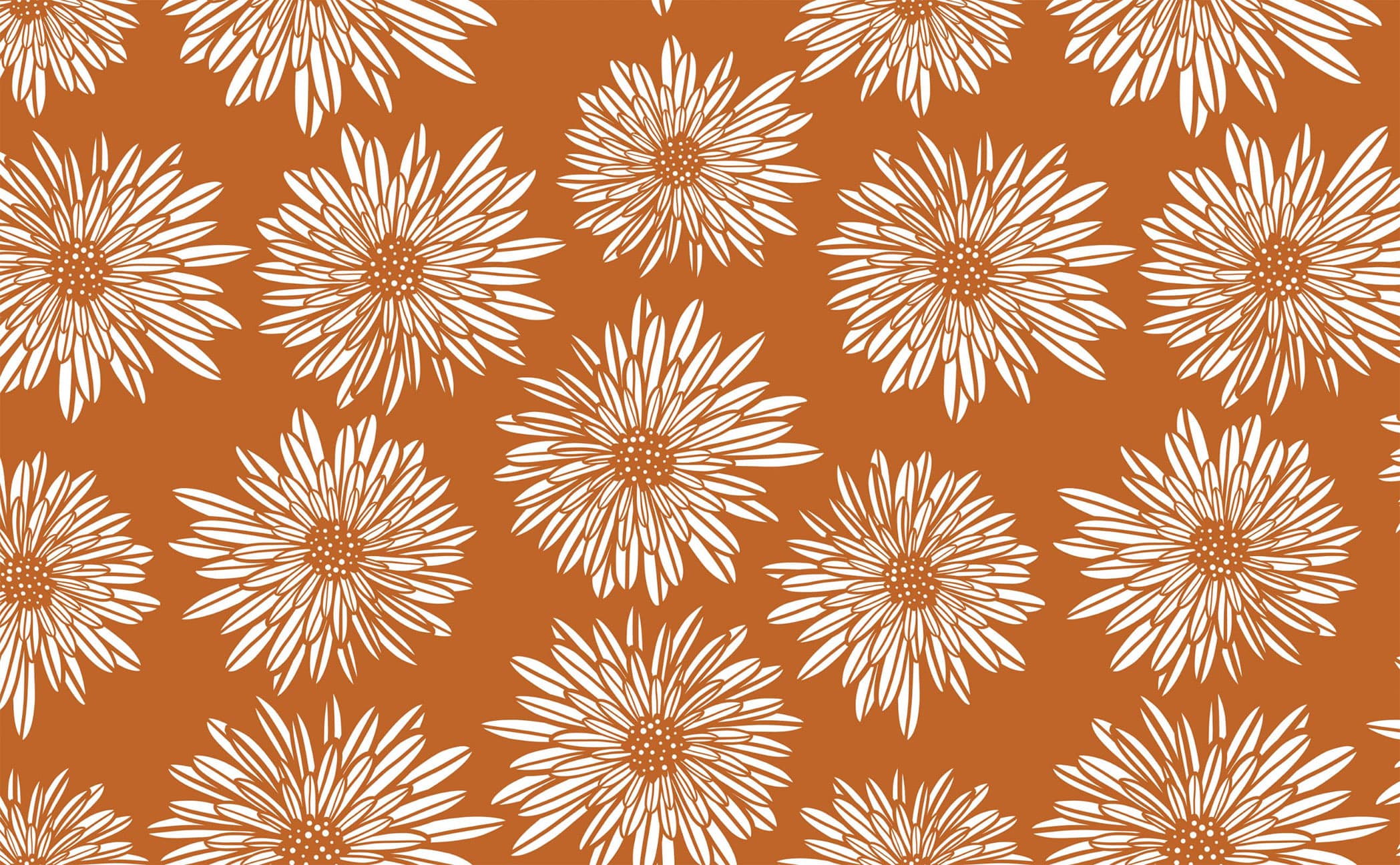 2097x1296 White daisy flower sketch terracotta Pattern Wallpaper for Walls