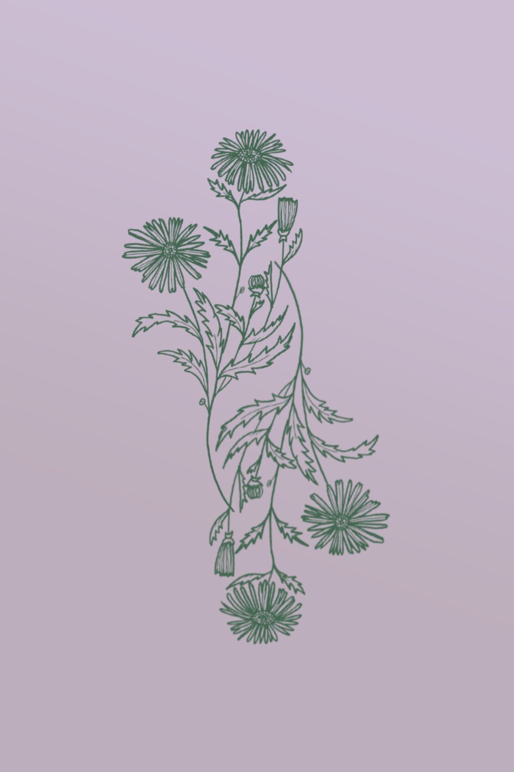 1000x1500 Aster Flower Device Wallpaper Verderame Marketing Agency