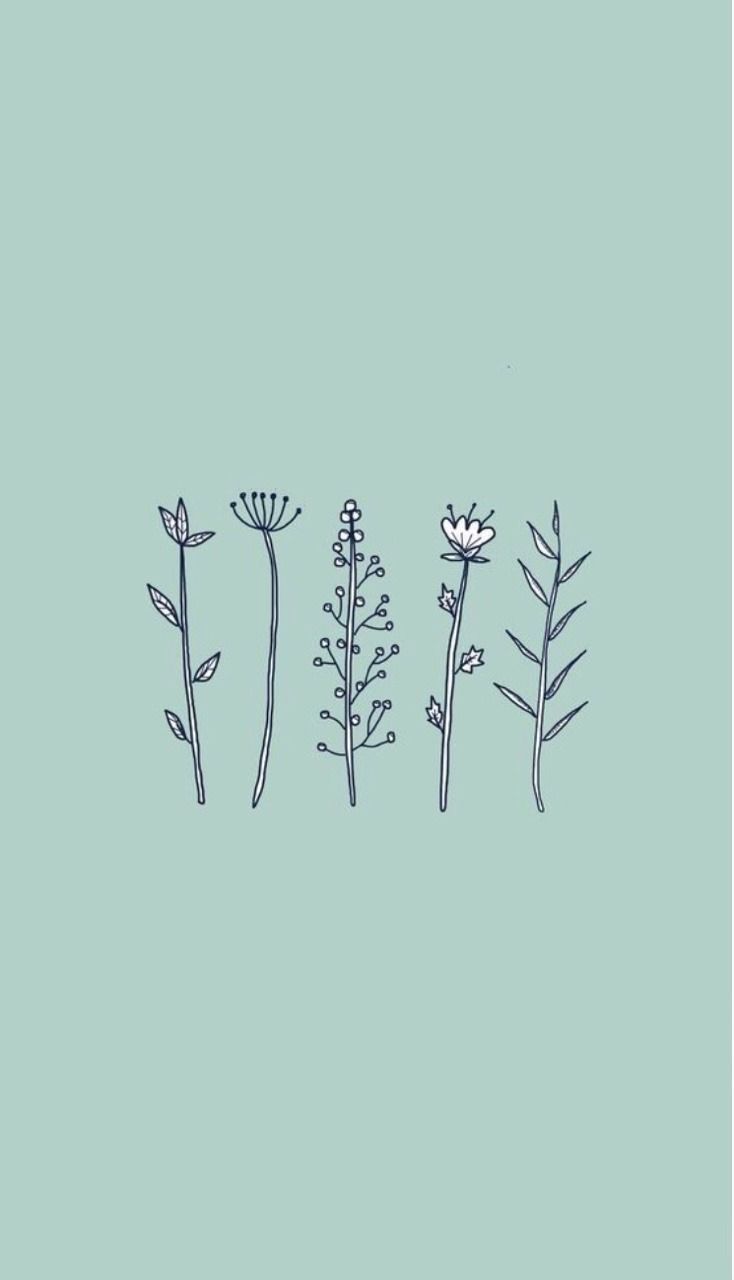 734x1280 Aesthetic Flower Drawing Wallpaper