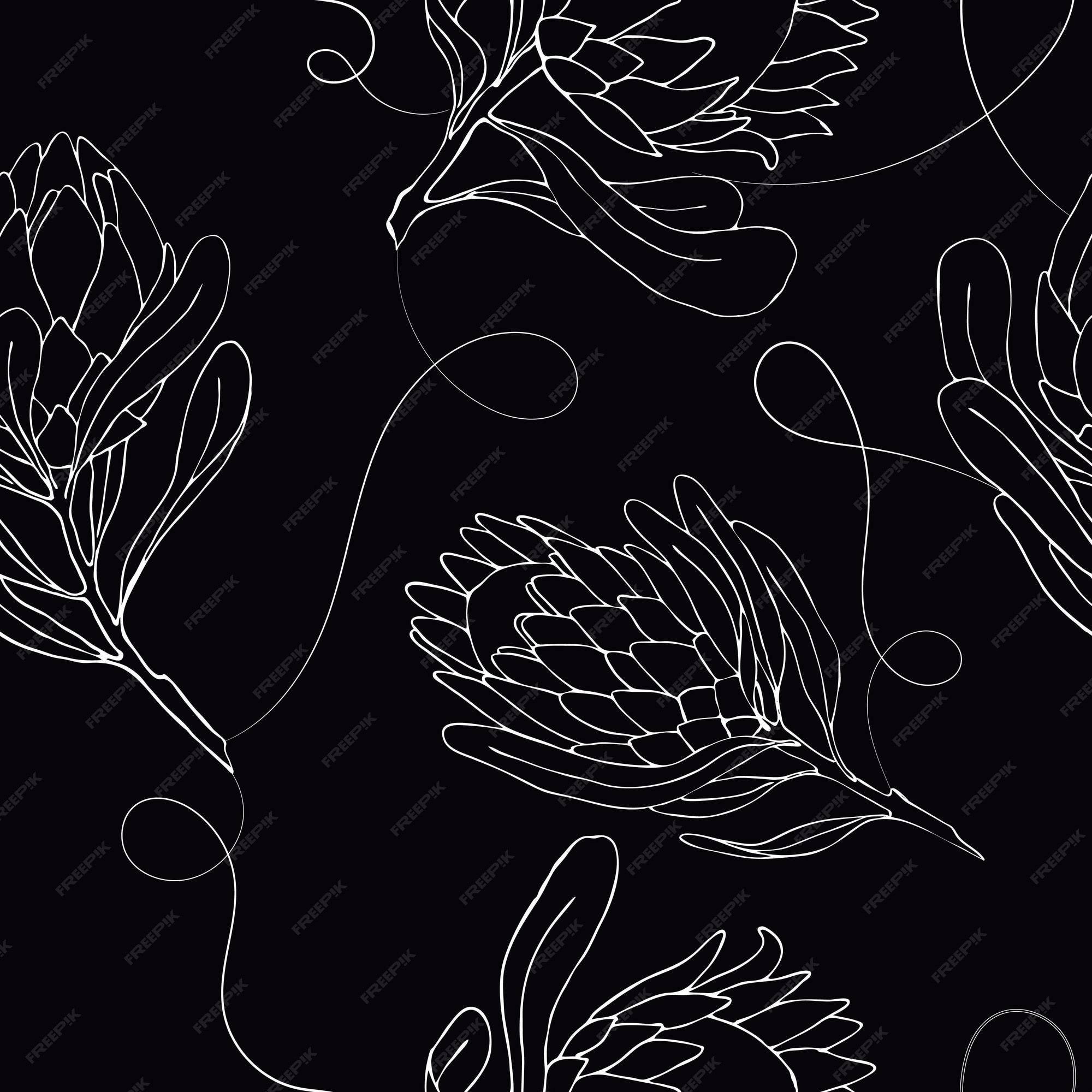2000x2000 Premium Vector. Vector illustration seamless pattern with large buds of a protea flower drawing outline. textiles, wallpaper, fabric, decoration bedroom and living room