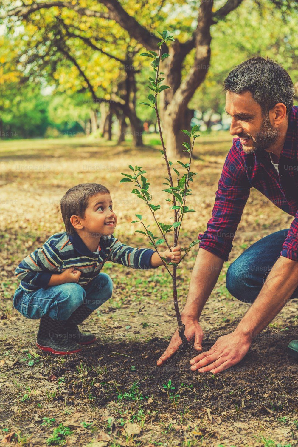 1000x1498 Tree Planting Picture [HD]. Download Free Image