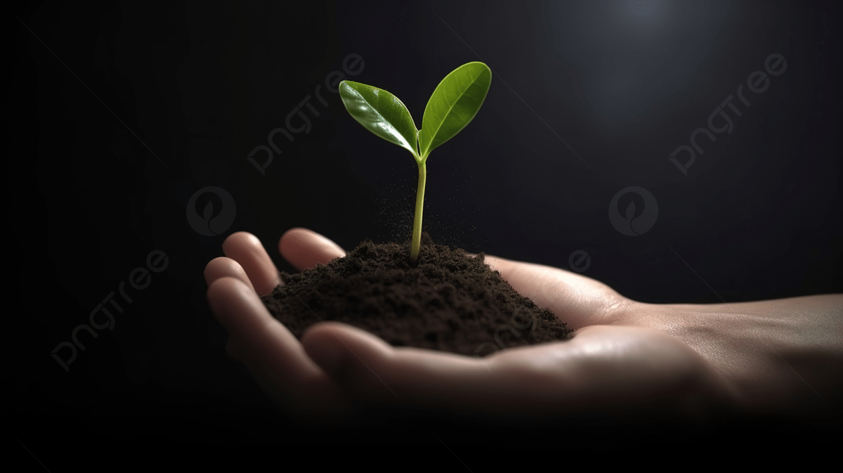 1200x673 Growth In Action Hand Holding A Soil Planted Sprout In 3D Illustration Background, Plant In Hand, Hand Tree, Plant Tree Background Image And Wallpaper for Free Download