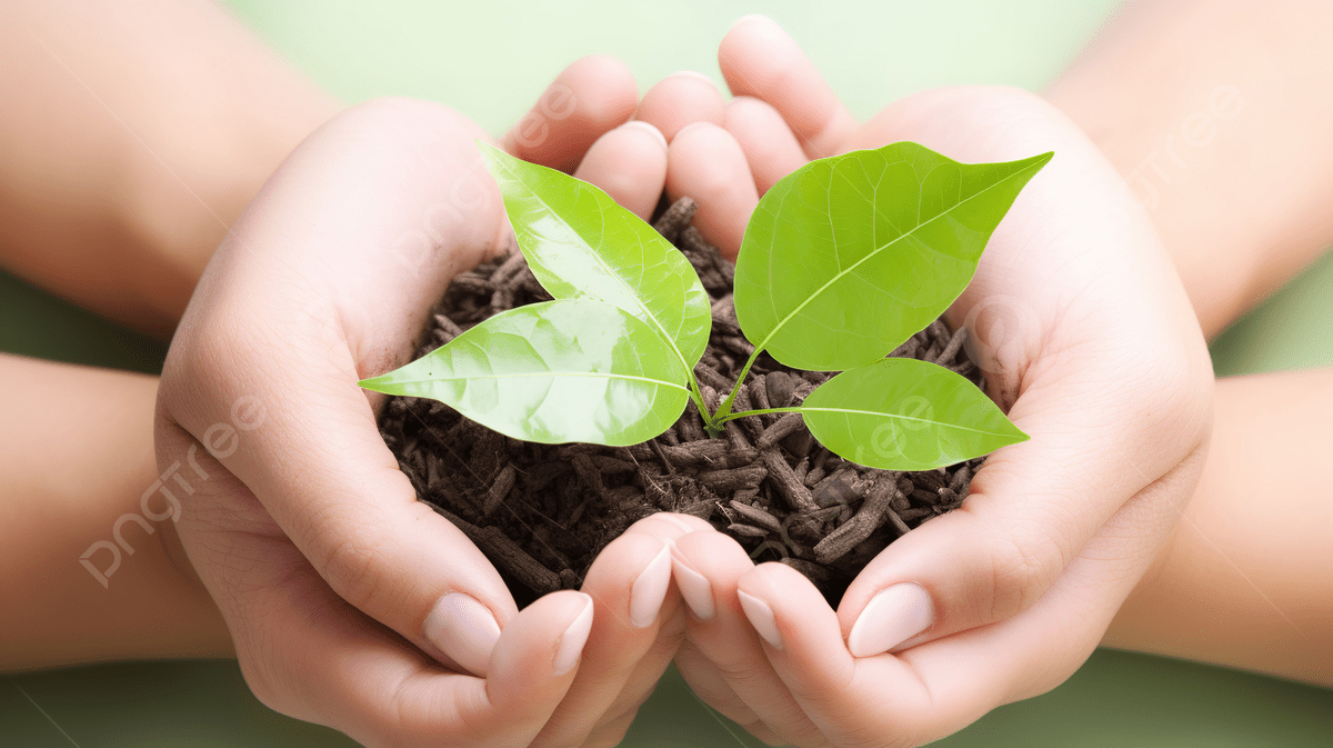 1200x673 Hands Holding A Plant In The Earth With A Growing Leaves Background, Picture Of Environmental Health Background Image And Wallpaper for Free Download