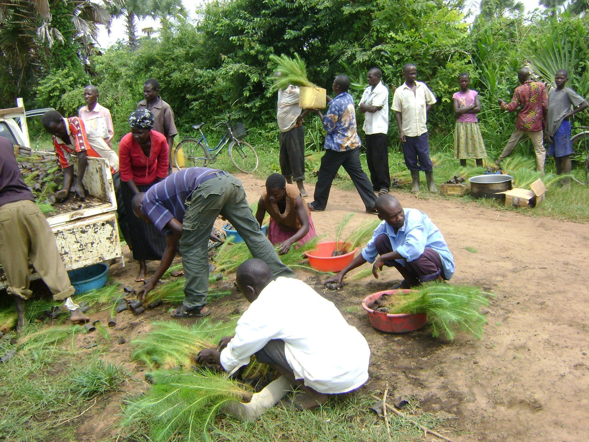 2048x1536 Project Update: Community Tree Planting Initiative