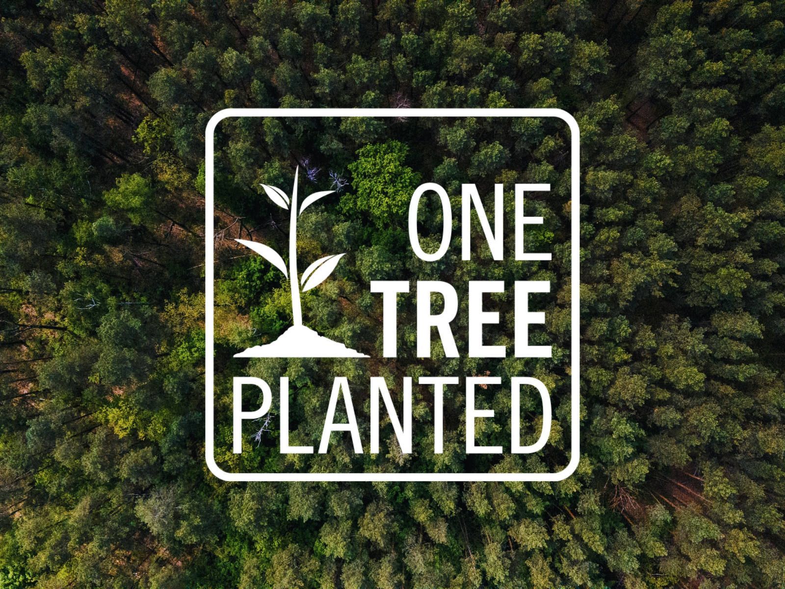1600x1200 Plant a Tree
