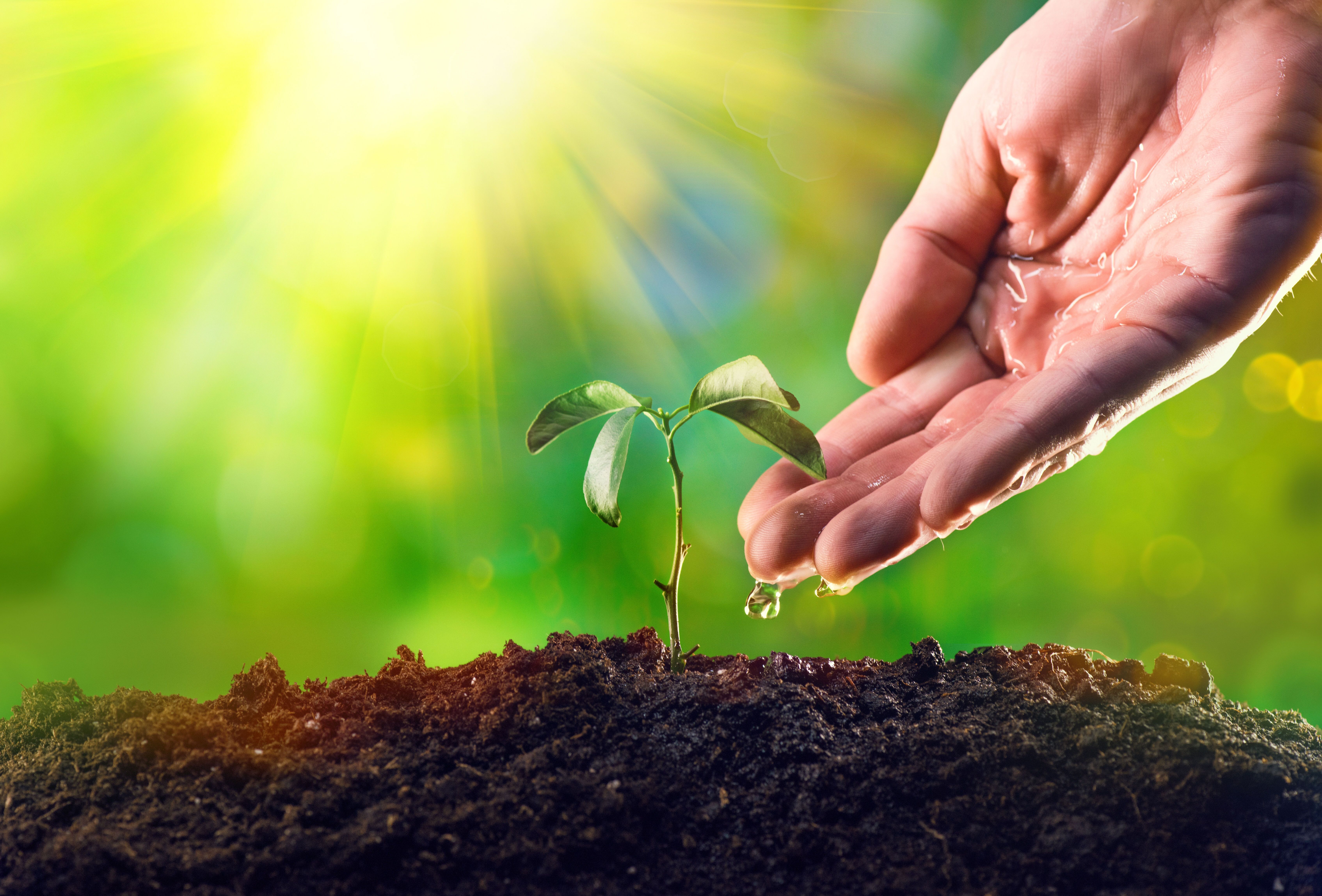 6776x4593 World Soil Day