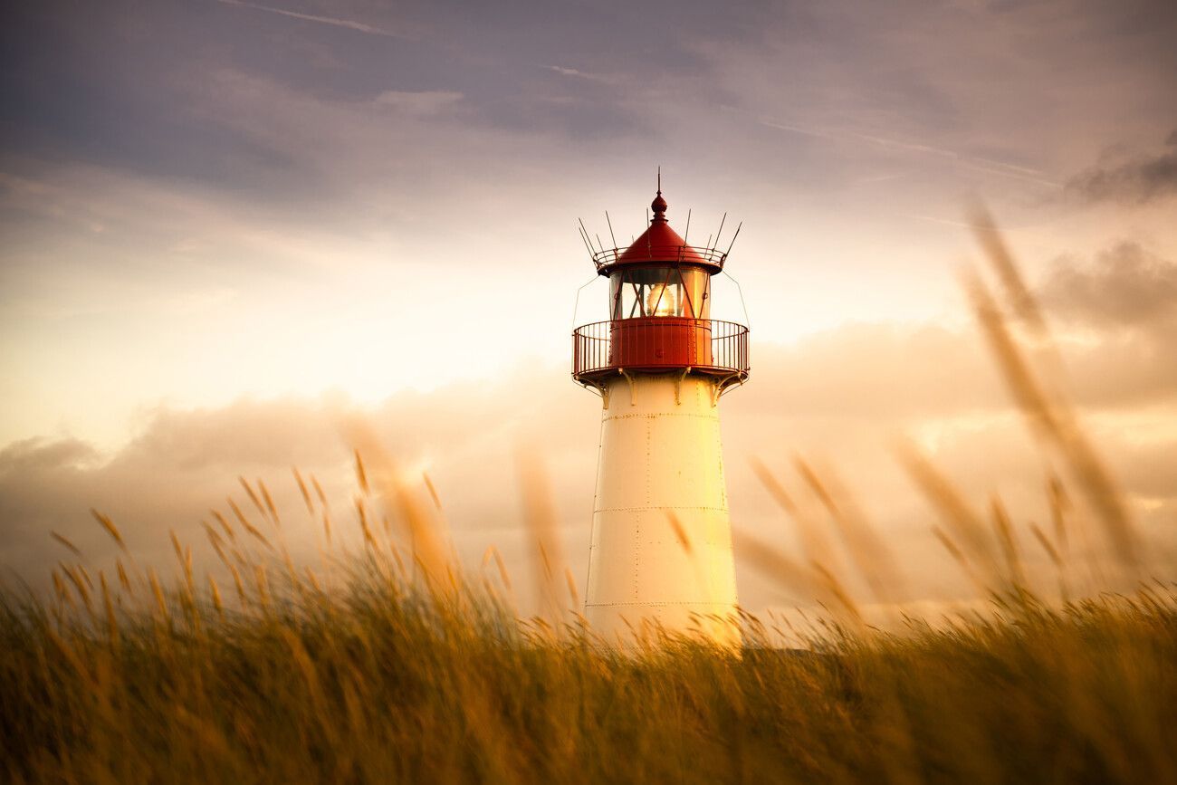 1300x867 Sylt Impression. Posters, Art Prints, Wall Murals. +250 000 motifs