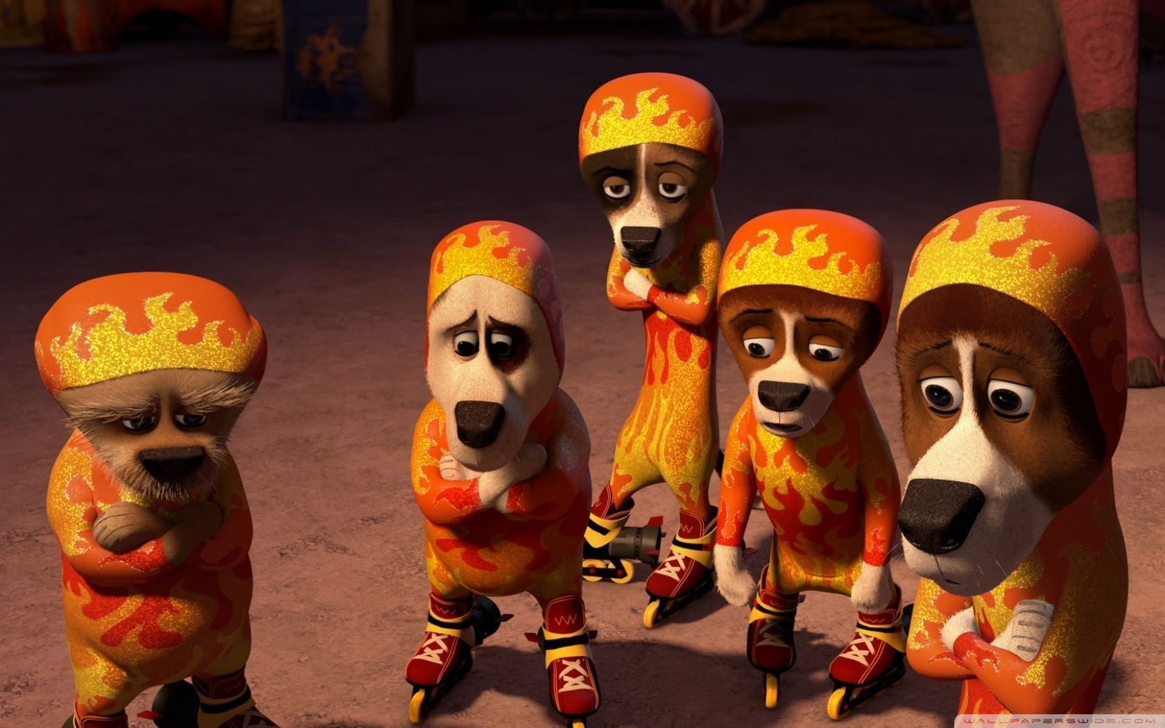 1680x1050 Madagascar 3 Circus Animals Ultra HD Desktop Background Wallpaper for 4K UHD TV : Widescreen & UltraWide Desktop & Laptop : Tablet
