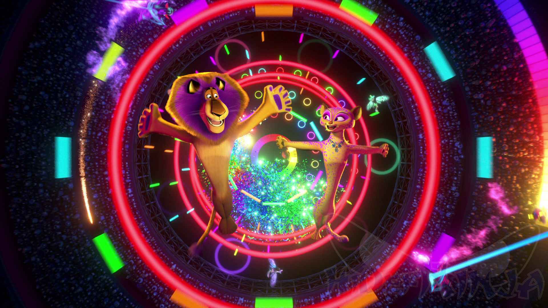1920x1080 Madagascar 3