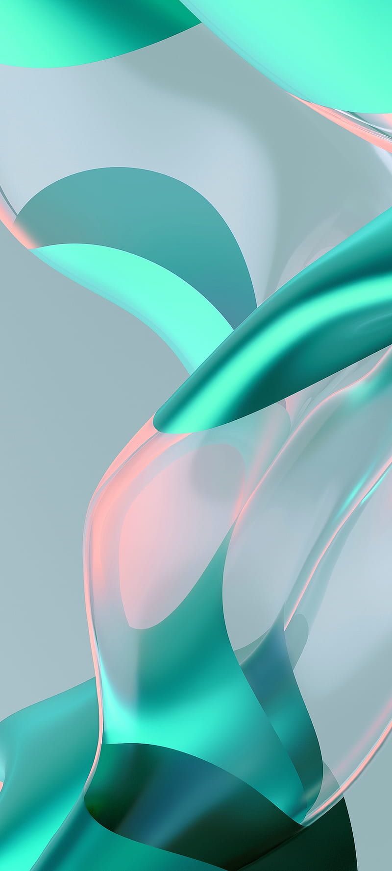 800x1778 Mi rosa, Verde, HD phone wallpaper
