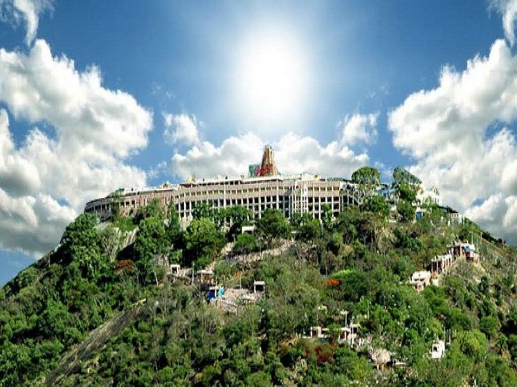 1024x768 Palani Murugan Temple