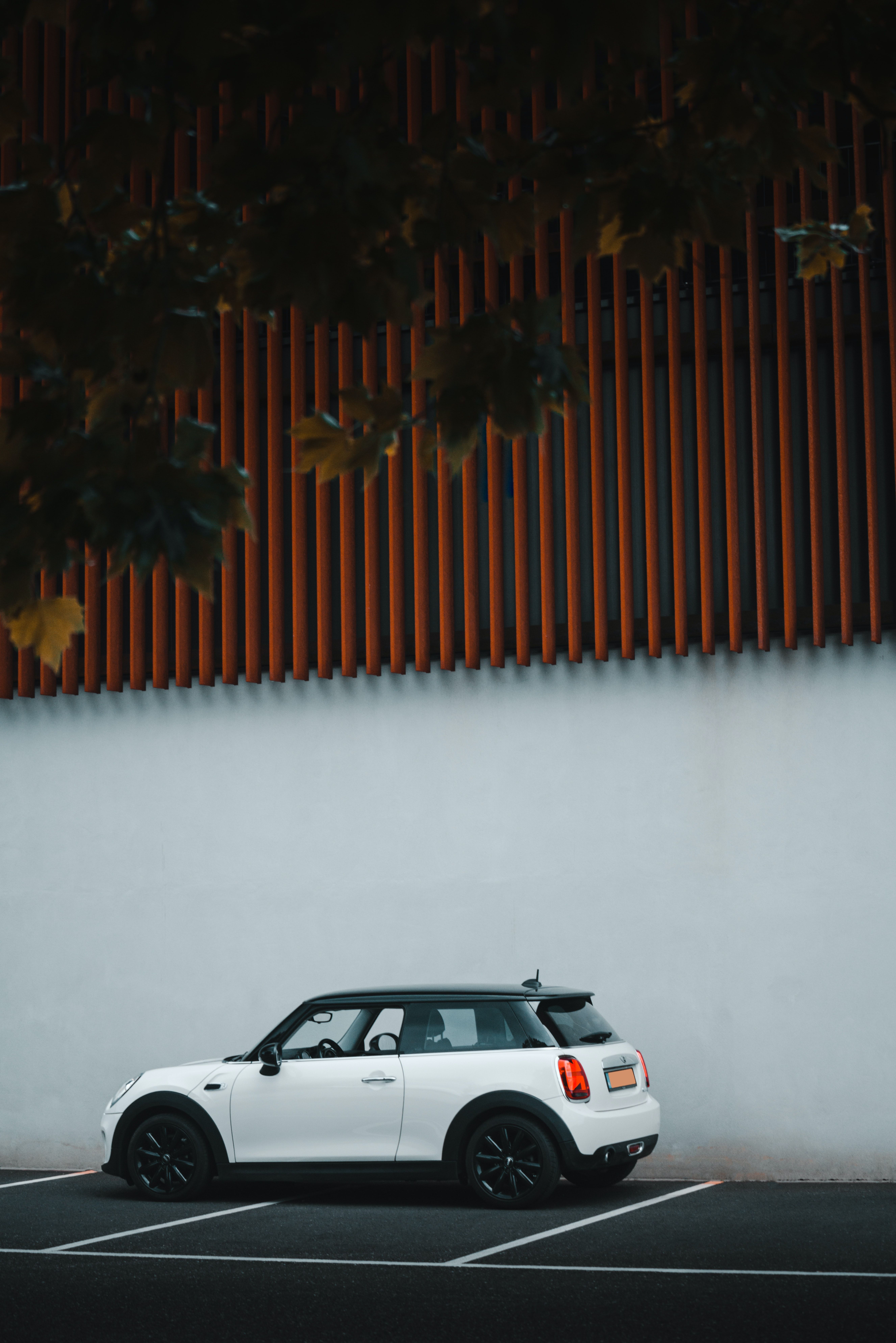 5304x7952 Download Mini Cooper wallpaper for mobile phone, free Mini Cooper HD picture