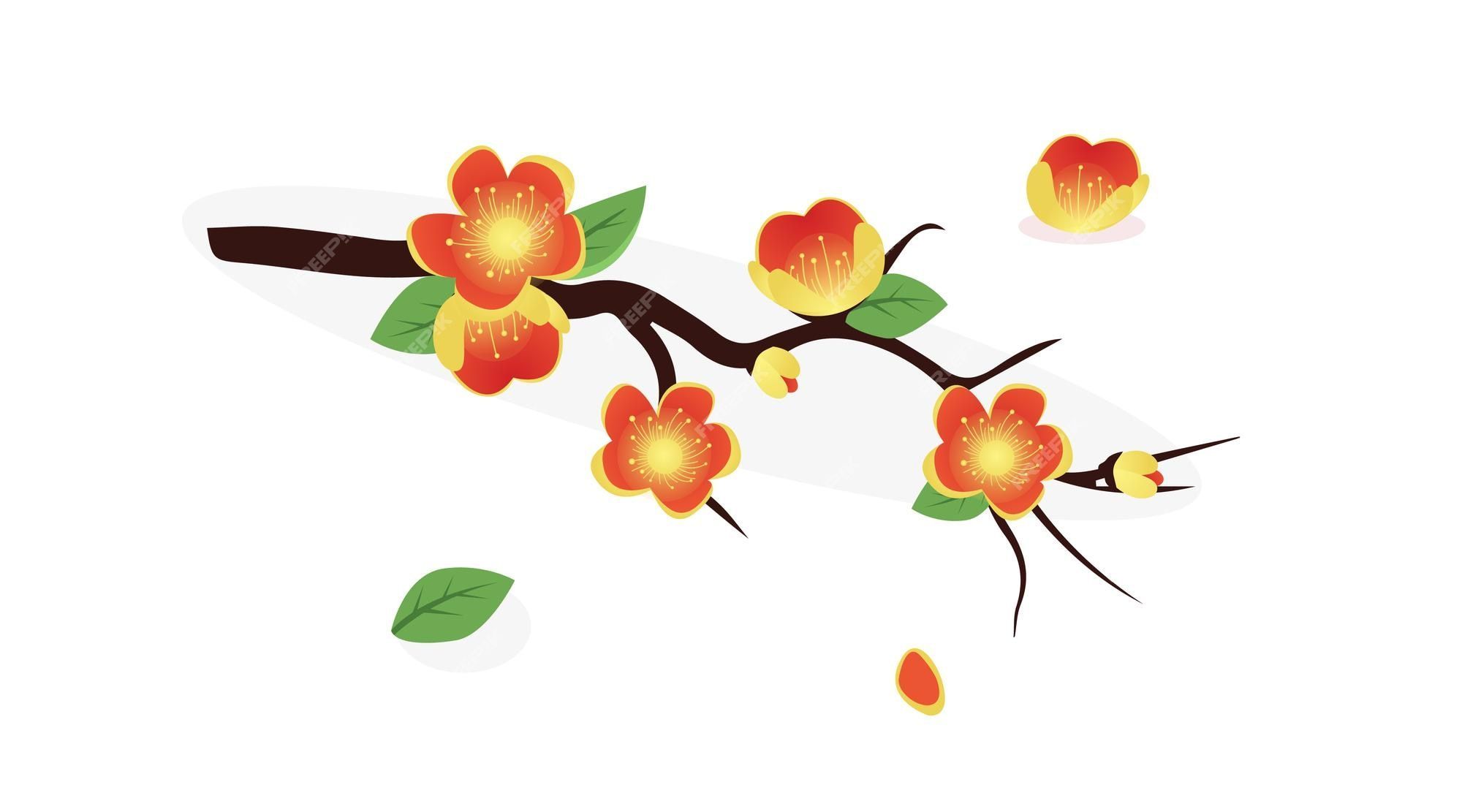 2000x1111 Premium Vector. Vietnamese tet holiday with yellow flower
