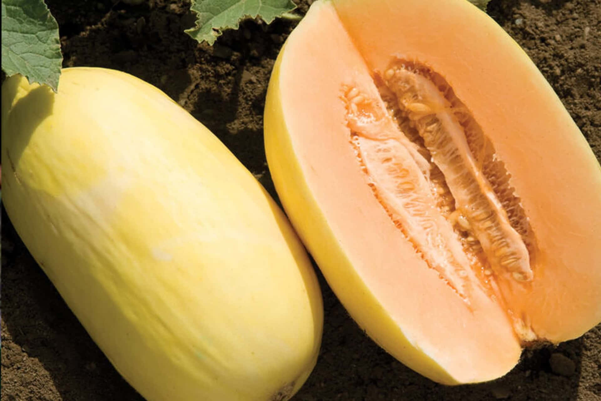 Crenshaw Wallpapers - Top Free Crenshaw Backgrounds - WallpaperAccess