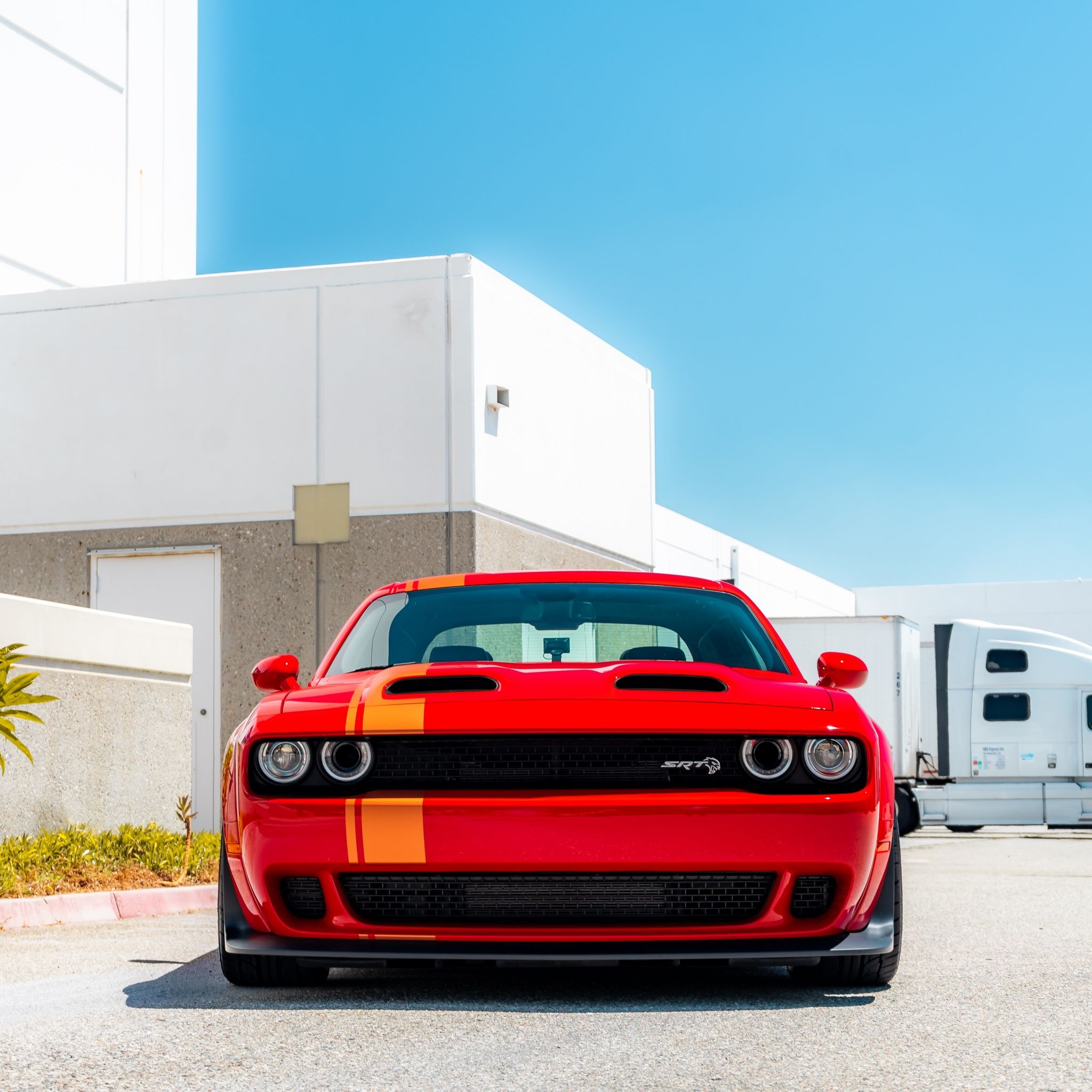 2048x2048 Dodge Challenger SRT Wallpaper 4K, Muscle cars, 5K
