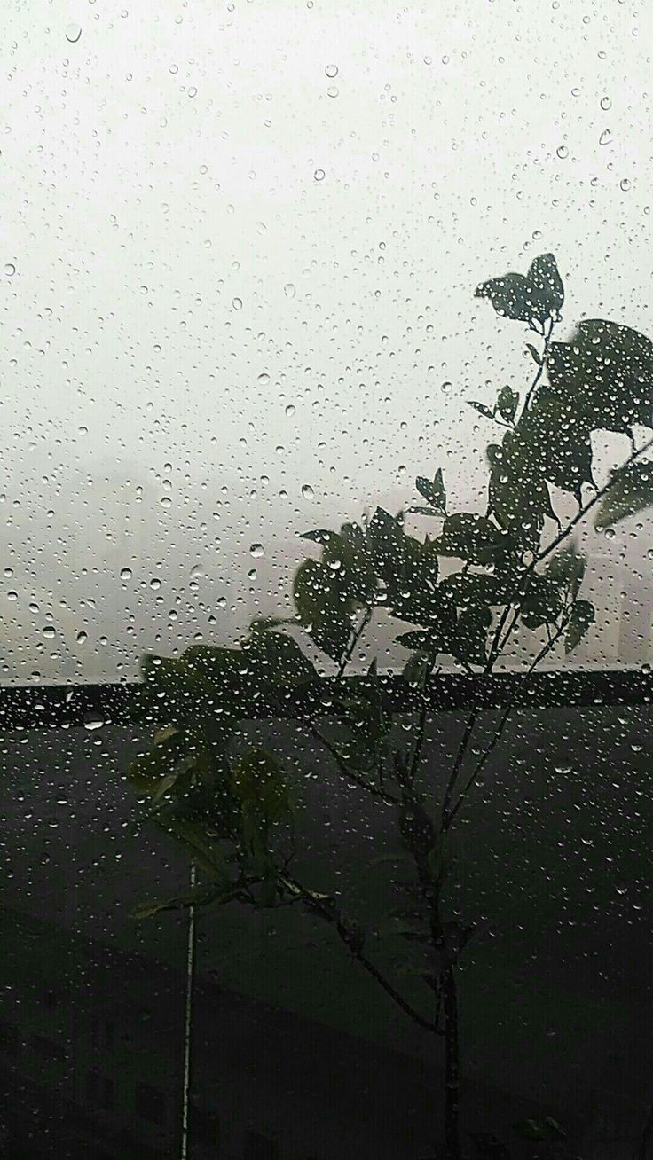 736x1308 Rain love. November wallpaper, Rain wallpaper, Rainy wallpaper