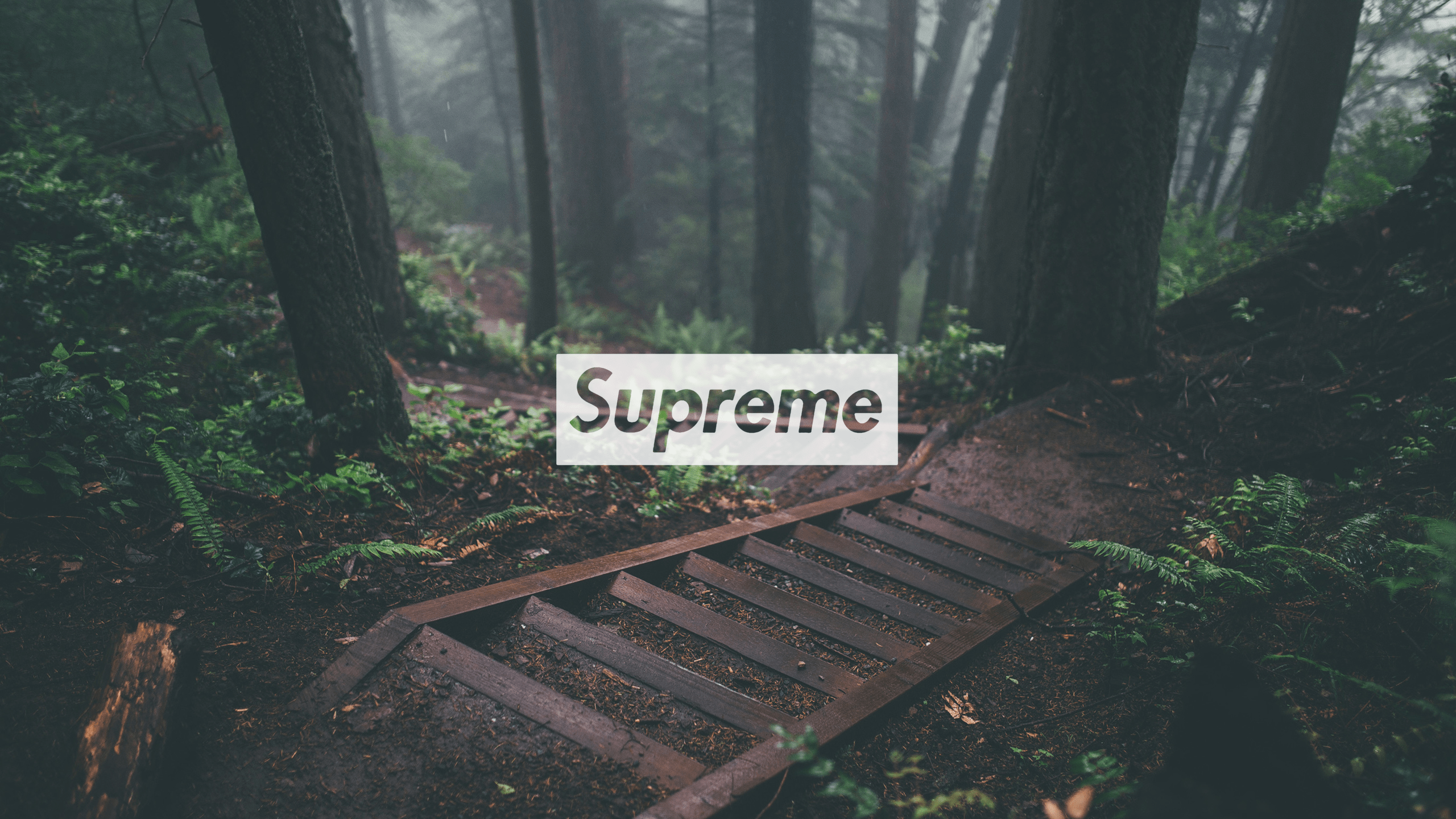 2560x1440 Supreme Wallpaper HD Mac