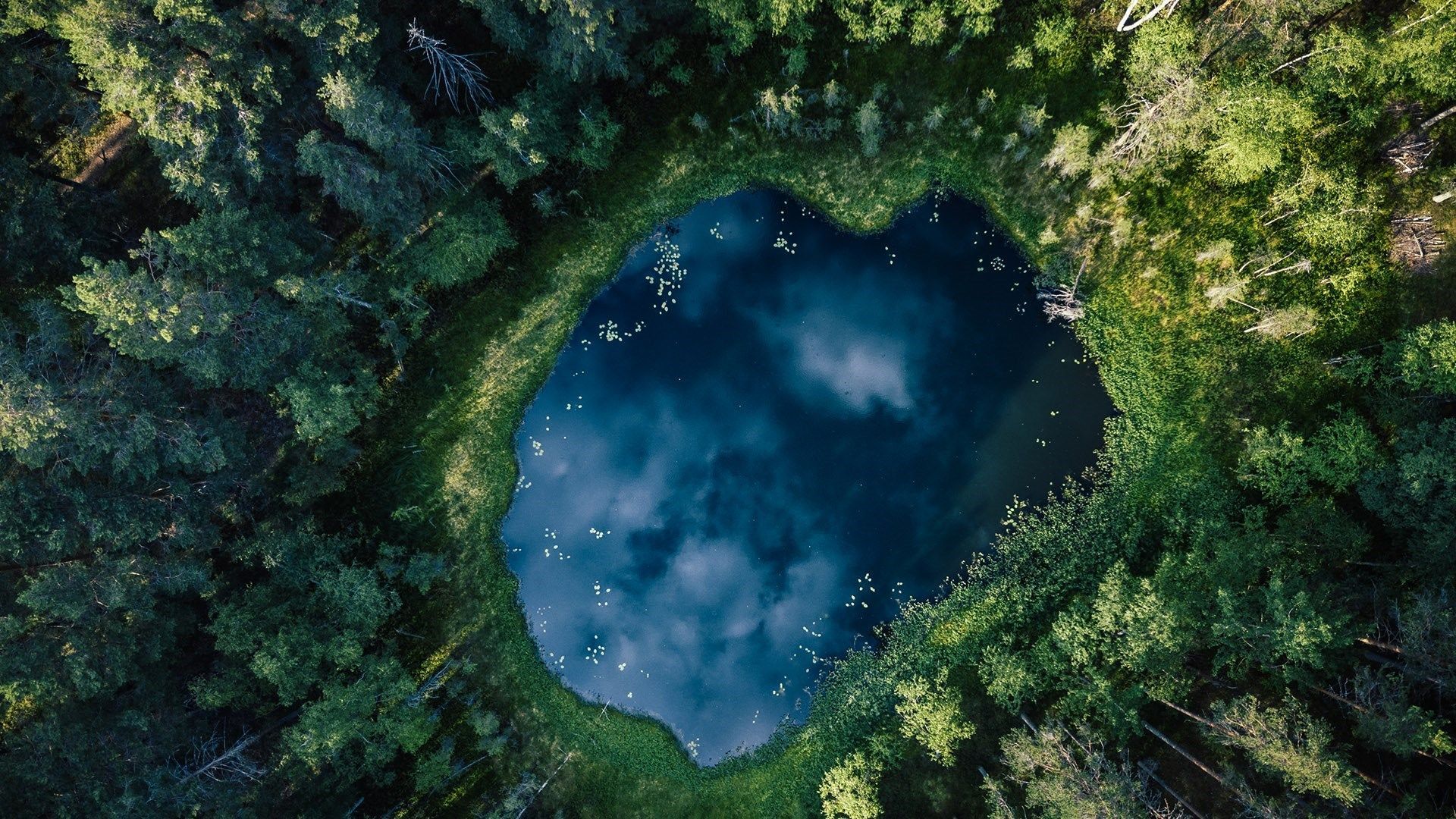 1920x1080 Pond from above
