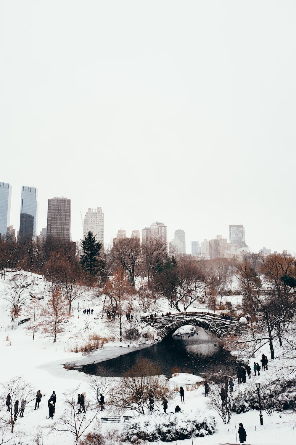 1000x1500 New York Snow Picture [HD]. Download Free Image