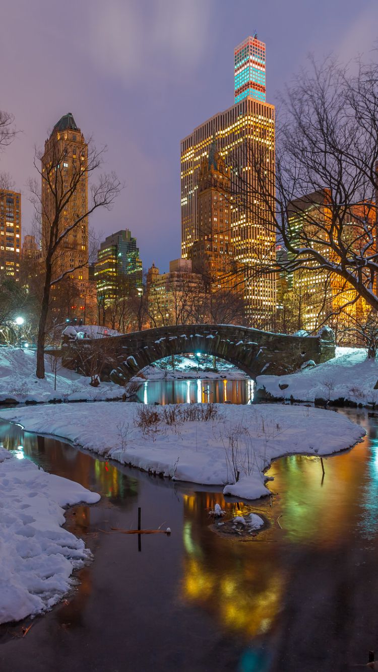 750x1334 Mobile wallpaper: Winter, Night, Snow, Usa, Bridge, New York, Central Park, Man Made, 1285590 download the picture for free