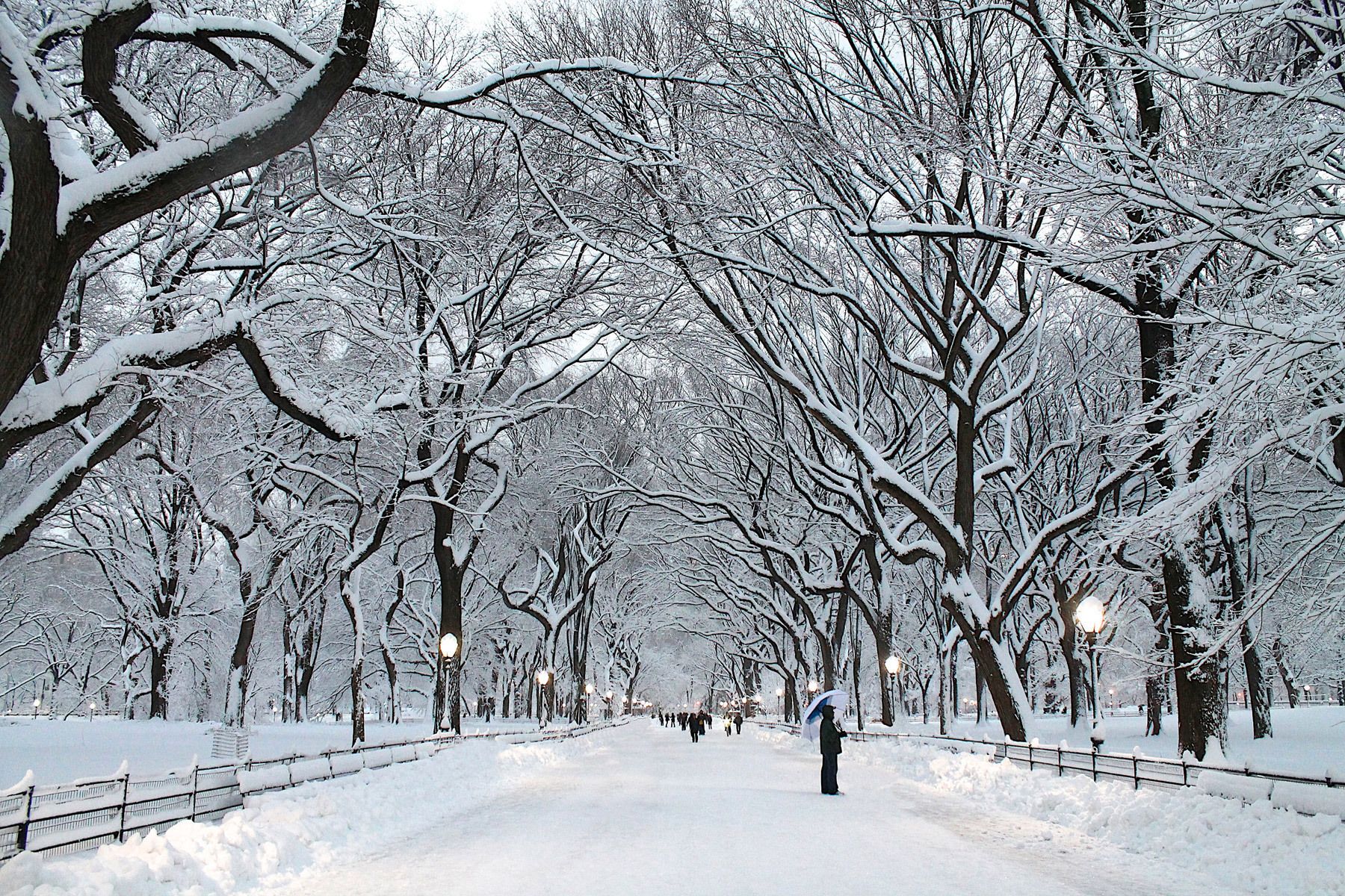 1800x1200 PLACES FOR GREAT SNOW PHOTOS IN NYC