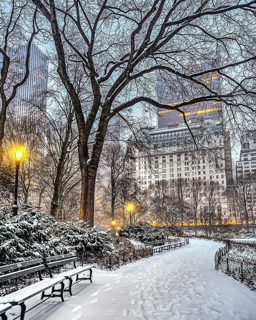 850x1063 NewYorkCityFeelings on Twitter. New york snow, Nyc christmas, New york christmas, Manhattan Winter HD phone wallpaper