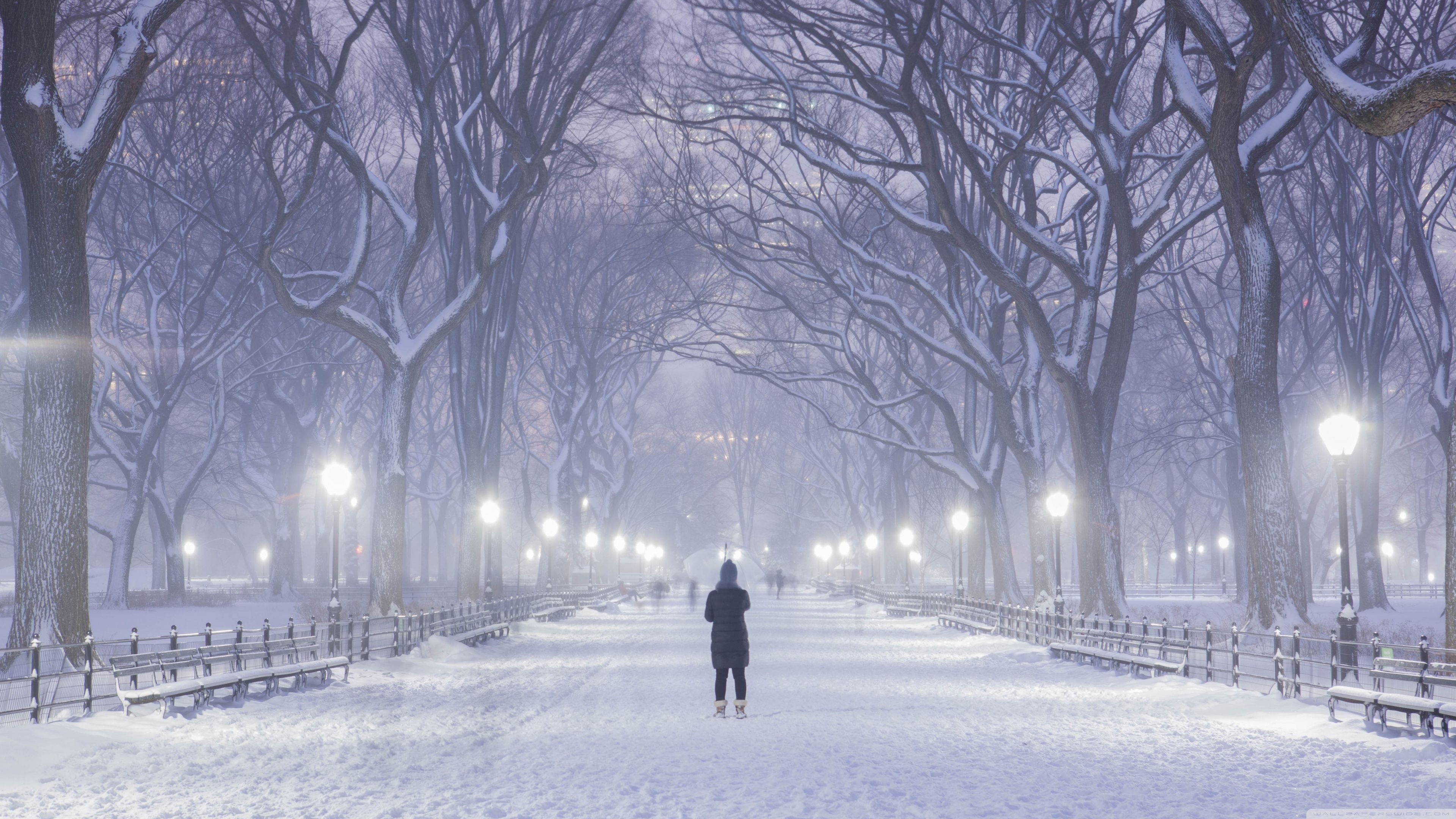 3840x2160 Central Park, New York City, Winter Background Ultra HD Desktop Background Wallpaper for 4K UHD TV : Widescreen & UltraWide Desktop & Laptop : Tablet