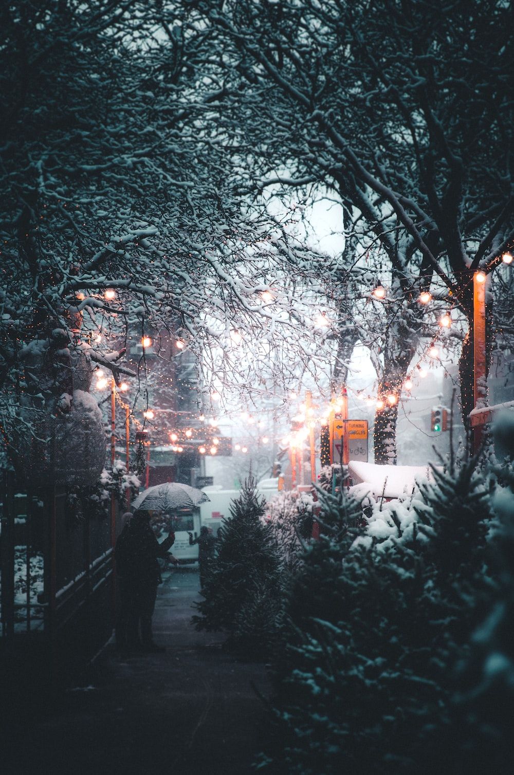 1000x1508 New York City Winter Picture. Download Free Image