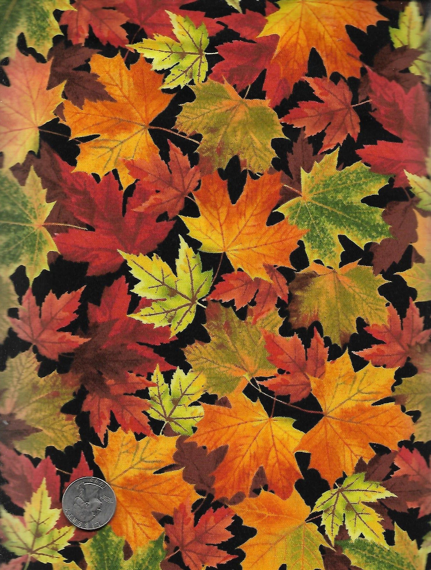 1513x2000 Fall Leaves