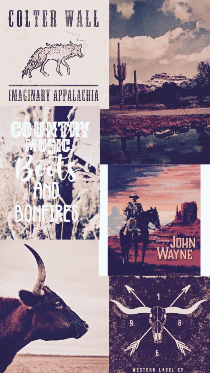 The Ranch Wallpapers - Top Free The Ranch Backgrounds - WallpaperAccess