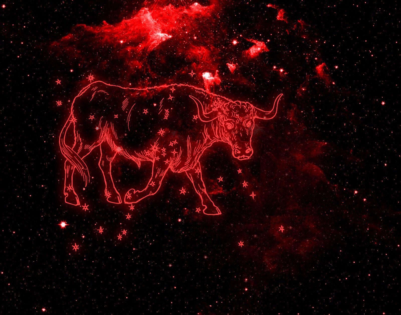 Picture Of Taurus The Bull Background Images HD Pictures and Wallpaper For  Free Download  Pngtree