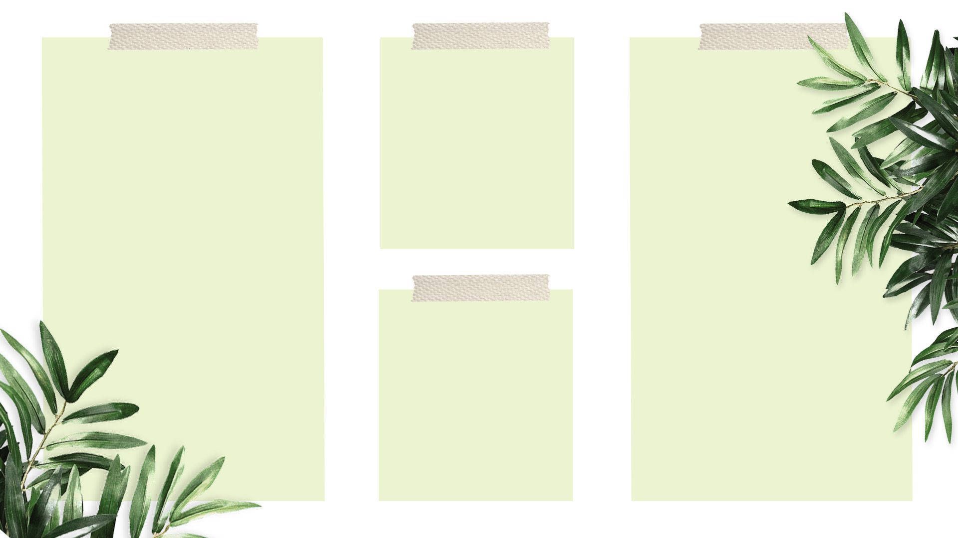 1920x1080 Download Plant Desktop Organizer Wallpaper